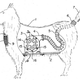 Illustration for article titled A Dog-Shaped Vacuum is One of the Least-Silly Ideas From the 70s